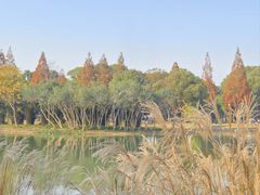 -无锡蠡湖国家湿地公园-蠡园