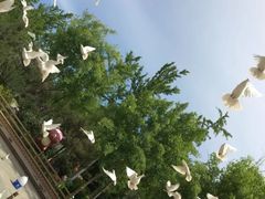 -南宫五洲植物乐园