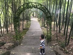 -杭州黄龙洞