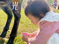 -恒大·海上威尼斯售楼处