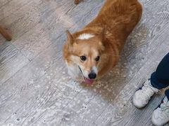 -小时光咖啡馆(北锣鼓巷店)