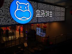 门面-盒马鲜生(双清路店)