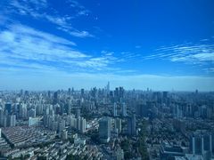 -上海龙之梦万丽酒店