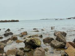 -小麦岛公园