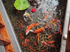 -尺山寸水日料(马桥满天星店)
