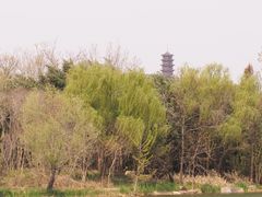 -江苏三台山国家森林公园