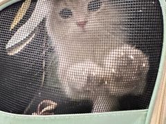 -瑞派福兴宠物医院犬猫全科·骨科·中西医结合(河东店)