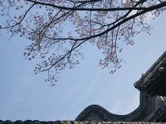 -安仁古镇
