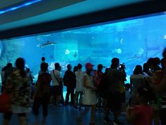 -海合安成都极地海洋公园