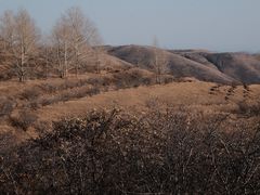 -草原天路(张北县)