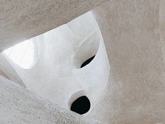 -美国自然历史博物馆