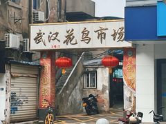 -武汉花鸟市场