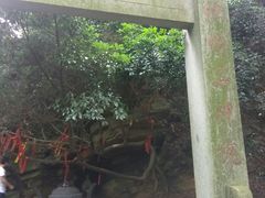 -达蓬山旅游度假区