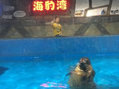 -梦幻海洋王国(吾悦广场张家港店)