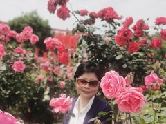 -都江堰玫瑰花溪谷
