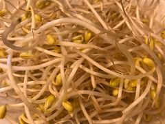 -仁虎老火锅(黄泥磅店)