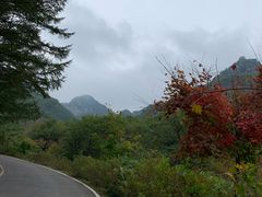 -大连天门山国家森林公园