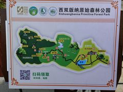 -西双版纳原始森林公园