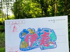 -茅兰沟国家森林公园