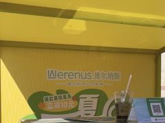-维尔纳斯·生日蛋糕动物奶油冰淇淋蛋糕(人大店)