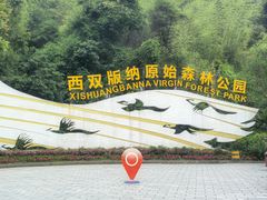 -西双版纳原始森林公园