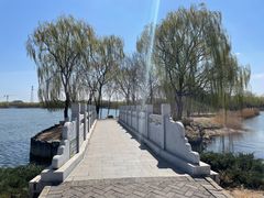 -大兴滨河森林公园