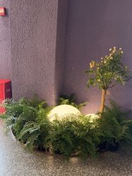 -花隐·美芙炫海菲秀皮肤管理中心