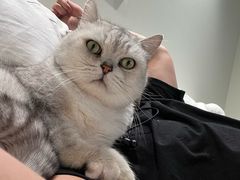 -comecome来吧宠物(奥克斯中心店)