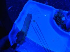 -皇马纯KTV(景田店)