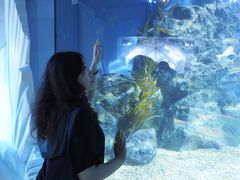 -暹罗海洋世界