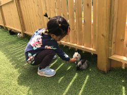 -萌宠亲子动物乐园(槐房万达店)