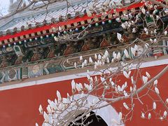 -北京艺术博物馆(万寿寺)