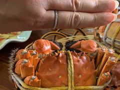 -渔娘蟹庄(阳澄湖莲花岛店)