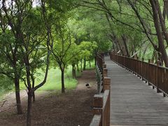 -北京麋鹿生态实验中心