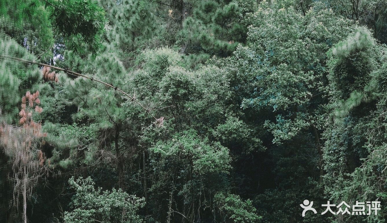 来一晚说走就走的露营！ 🏕