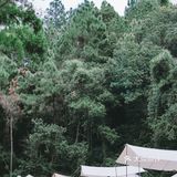来一晚说走就走的露营！ 🏕
