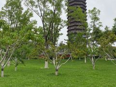 -西海子公园