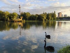 -南通濠河风景名胜区