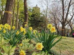 -玲珑塔公园