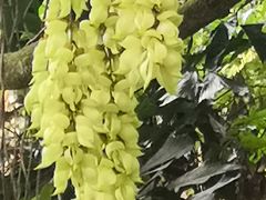 -天鹿湖森林公园