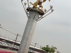 -胜华驾校·小猫学车(银都店)
