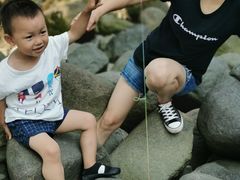 -吴淞炮台湾湿地森林公园烧烤区