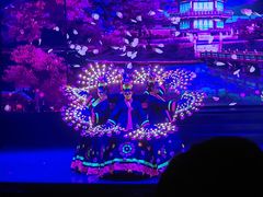 -金东尼人妖秀