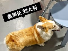 -LaFBagel手作烘焙工作室