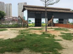 -灵玲国际马戏城