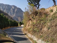 -青龙山生态文化旅游区(慈云寺)