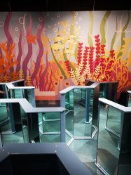 -北京科学中心儿童乐园