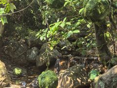 -牛鱼嘴原始生态风景区