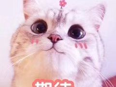 -吉祥馄饨(三林家园店)