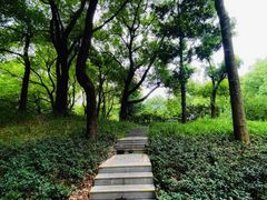 -徐家汇源景区-衡山公园